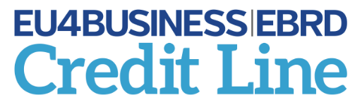 EU4Business